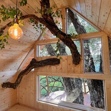Agriturismo Pereti Roccatederighi Εξωτερικό φωτογραφία