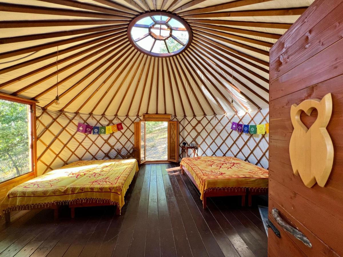Agriturismo Pereti Roccatederighi Εξωτερικό φωτογραφία