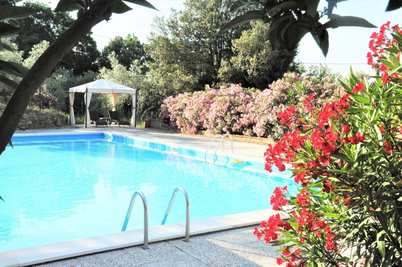 Agriturismo Pereti Roccatederighi Εξωτερικό φωτογραφία