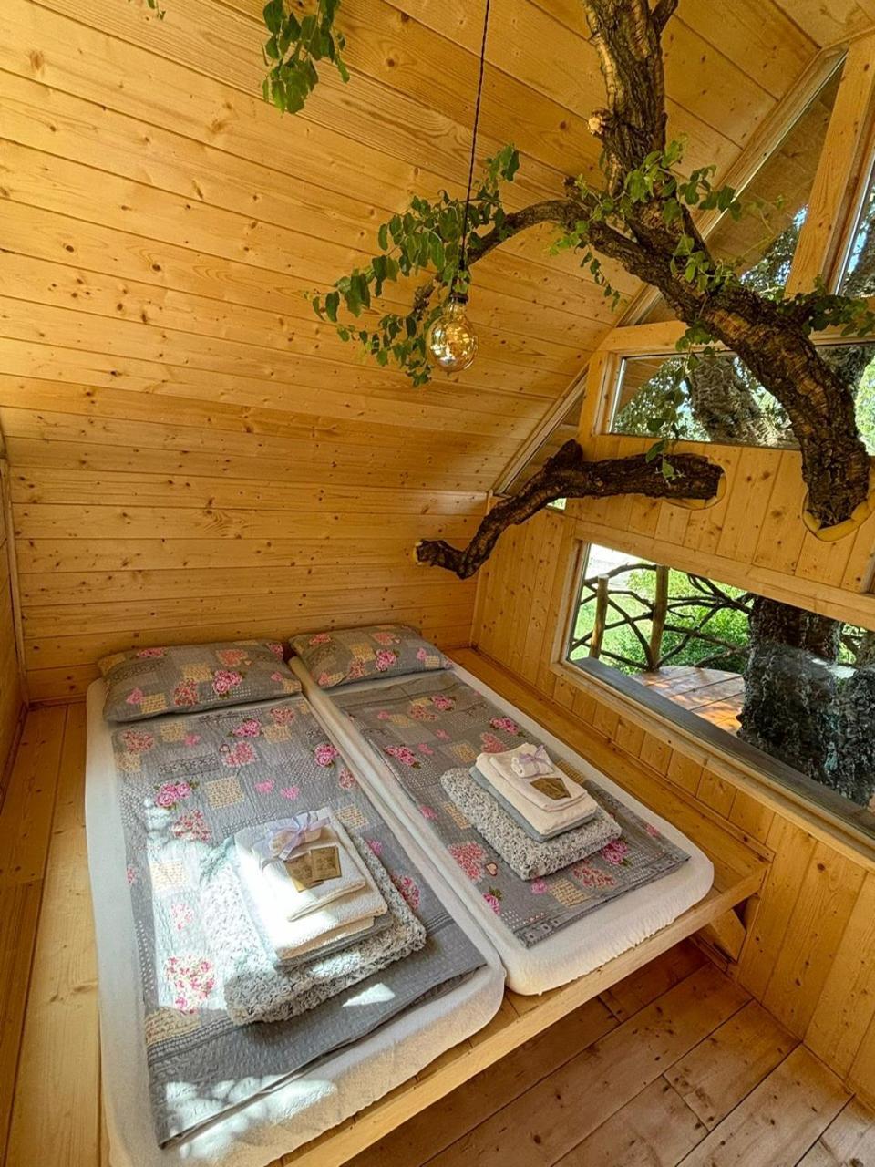 Agriturismo Pereti Roccatederighi Εξωτερικό φωτογραφία