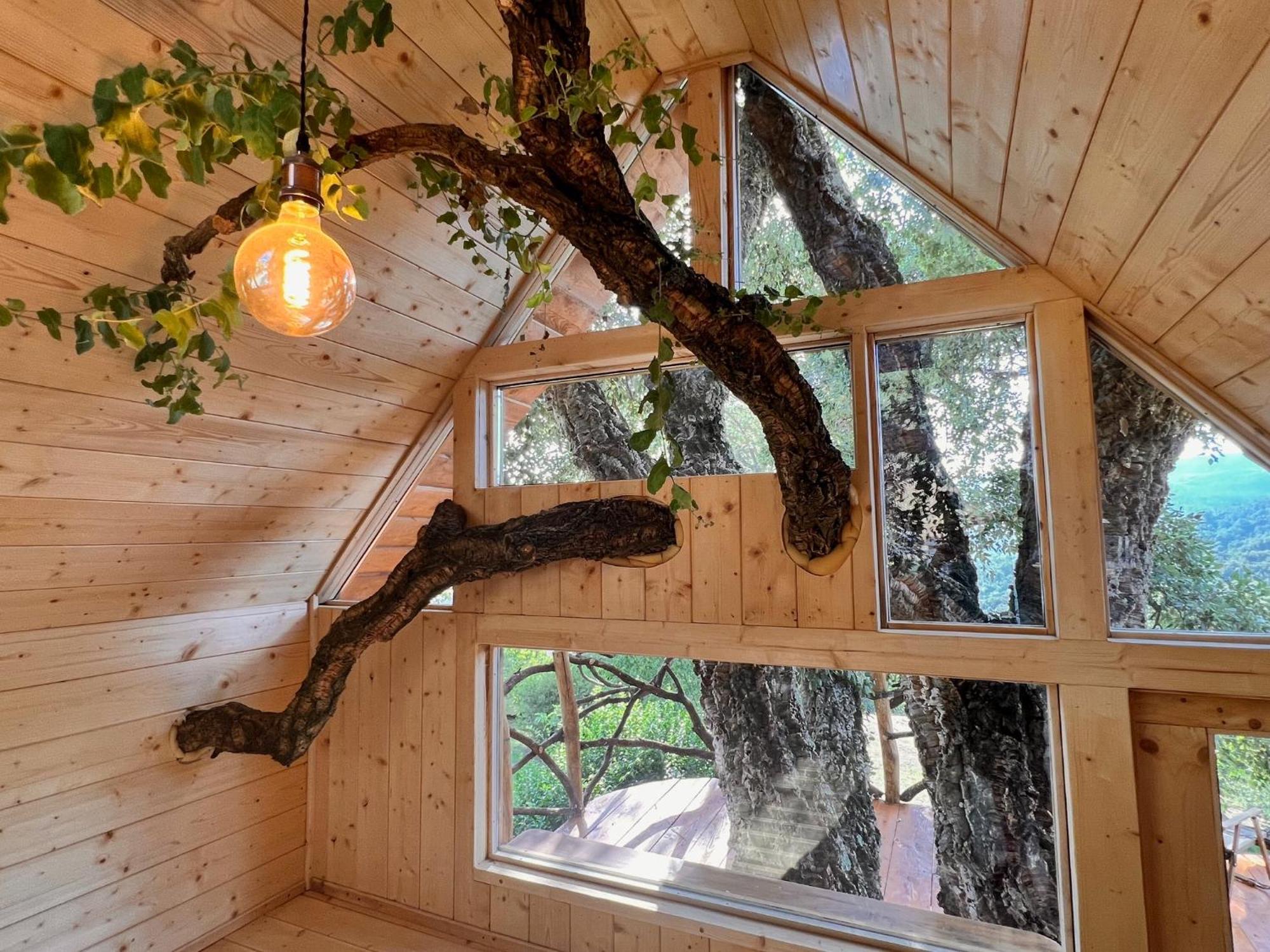 Agriturismo Pereti Roccatederighi Εξωτερικό φωτογραφία