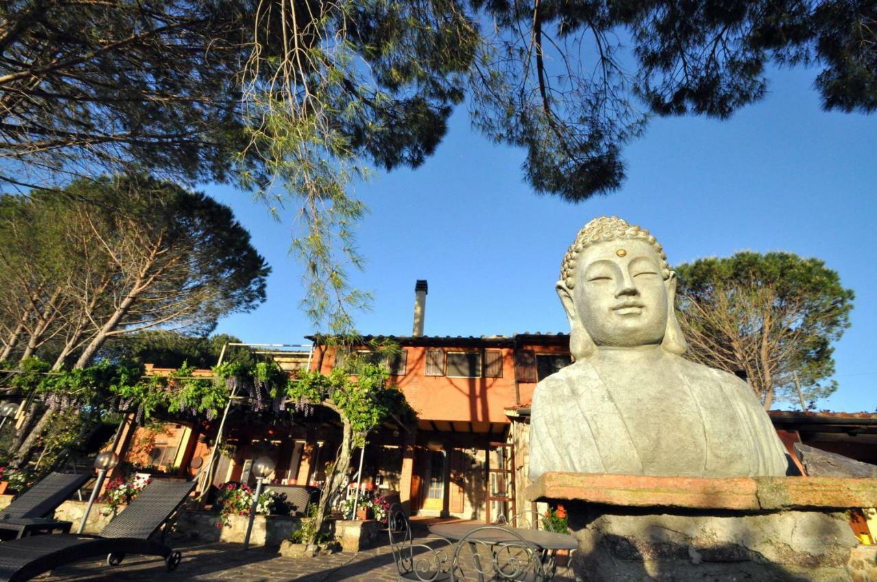 Agriturismo Pereti Roccatederighi Εξωτερικό φωτογραφία